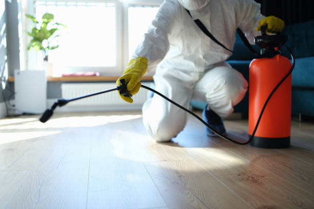 Best Flea Control Services  in Bixby, OK