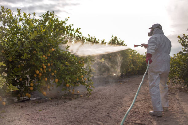 Best Termite Control Services  in Bixby, OK
