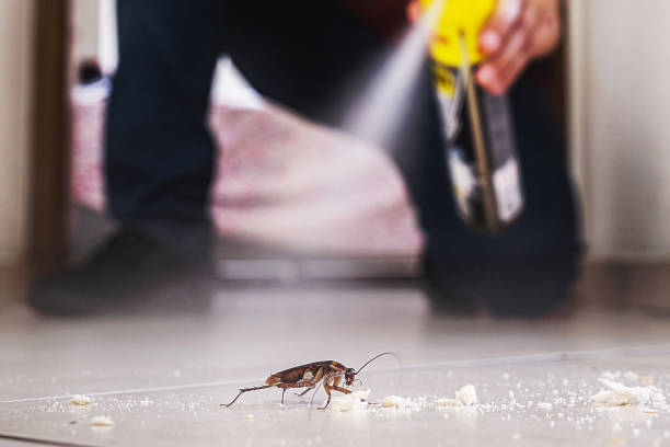 Best Rat Extermination Near Me  in Bixby, OK