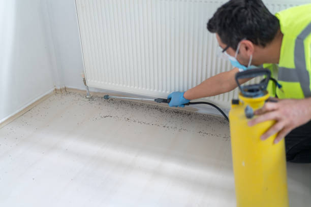 Best Local Pest Control Services  in Bixby, OK