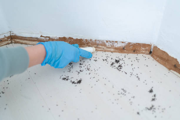 Best Best Pest Control Companies  in Bixby, OK