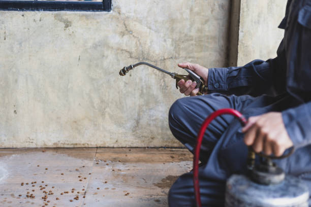 Best Best Pest Control Companies  in Bixby, OK